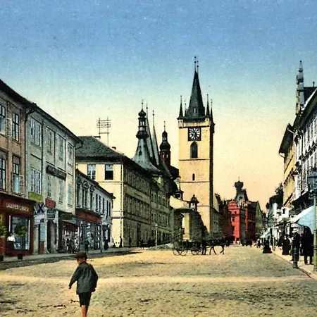 U Svate Ludmily 아파트 Litoměřice
